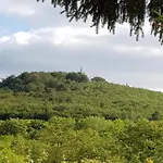 Family Fun Near Devil S * Blankenburg (Harz)