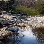 Family Fun Near Devil S Blankenburg (Harz)