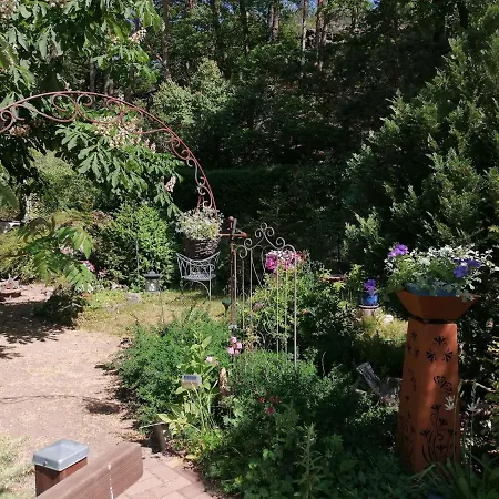 Spacious In Harz Near Area *