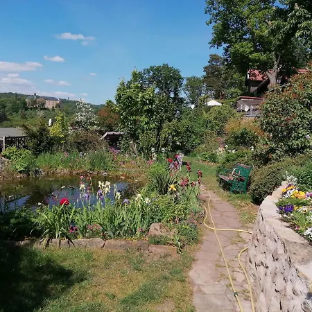 Apartment Spacious In Harz Near Area