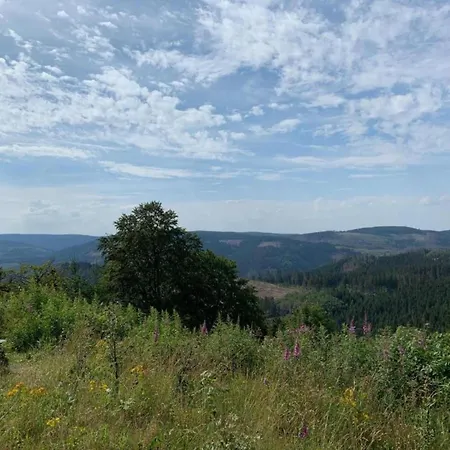 Spacious In Harz Near Area * Blankenburg (Harz)