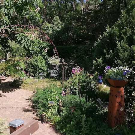 Family Fun Near Devil S