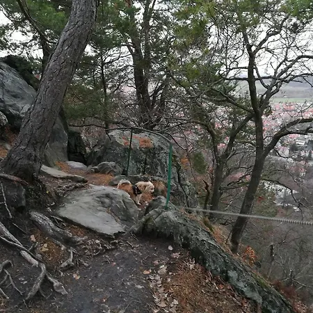 Family Fun Near Devil S Apartament Blankenburg (Harz)