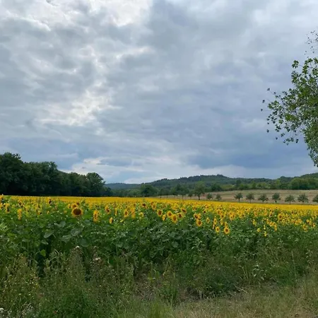 Family Fun Near Devil S