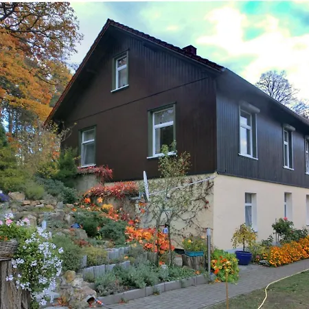 Spacious In Harz Near Area Apartment