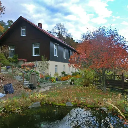 Spacious In Harz Near Area
