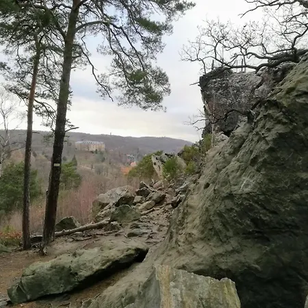Spacious In Harz Near Area