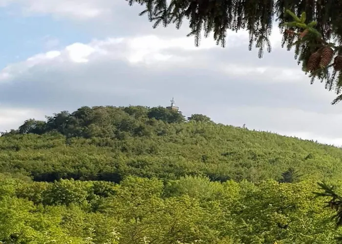 Family Fun Near Devil S * Blankenburg (Harz)