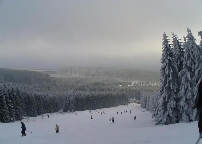 Family Fun Near Devil S *