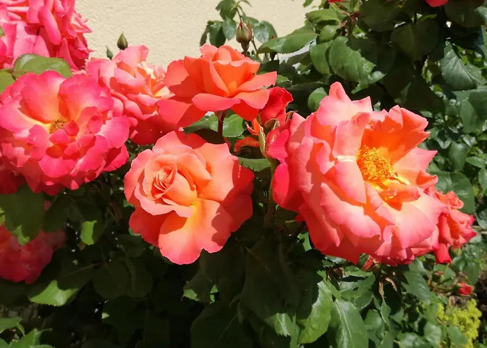 Family Fun Near Devil S Apartmán