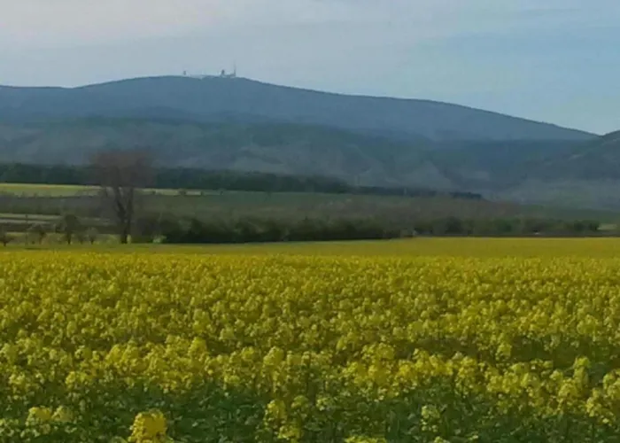 דירה Family Fun Near Devil S *