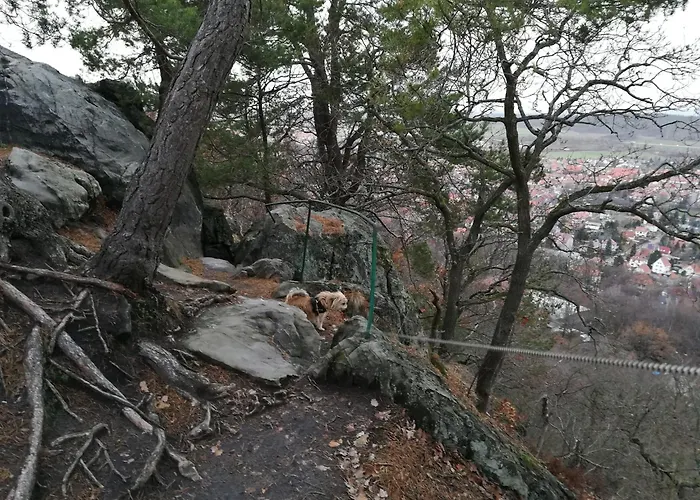 Family Fun Near Devil S Daire Blankenburg (Harz)