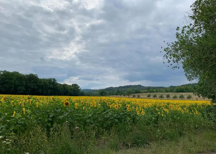 Family Fun Near Devil S