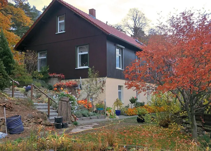 Family Fun Near Devil S